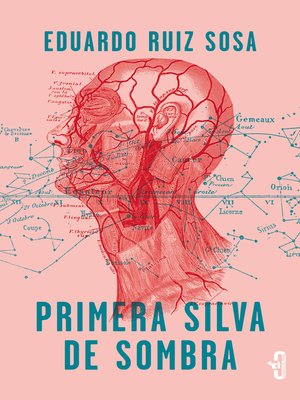 cover image of Primera silva de sombra
